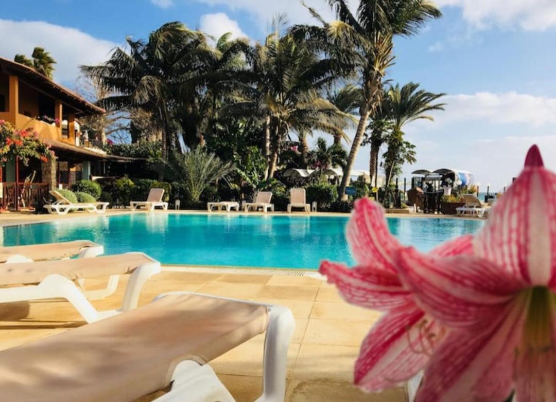 Beach Front Ocean View Porto Antigo2 Santa Maria Exterior foto